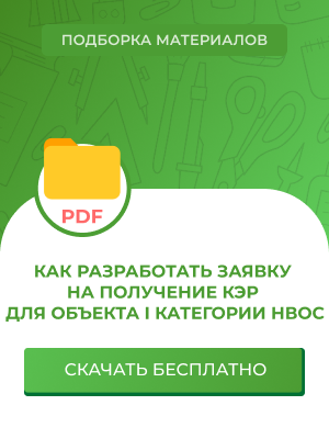 Как разработать заявку на получение КЭР для объекта I категории НВОС