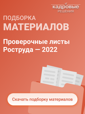 Проверочные листы Роструда-2022