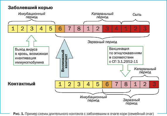 Корь сколько дней заразен