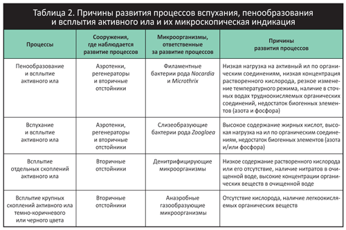 Курсовая работа по теме Микробные топливные элементы и активный ил