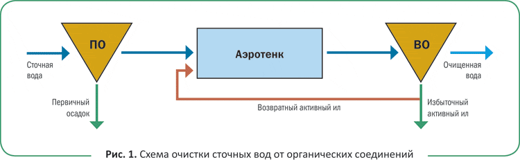 Зона очищения. Схема биологической очистки воды. Аэротенк схема. Аэротенки для очистки сточных вод схема. Схема аэротенка биологической очистки.