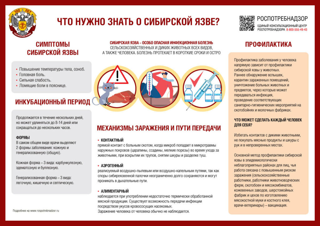/upl/%D1%81%D0%B8%D0%B1%D0%B8%D1%80%D1%81%D0%BA%D0%B0%D1%8F%20%D1%8F%D0%B7%D0%B2%D0%B0.png
