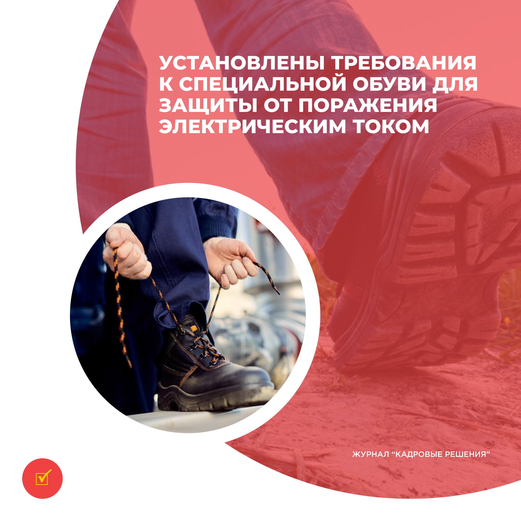 /upl/Group%2031%20(21)_2.jpg