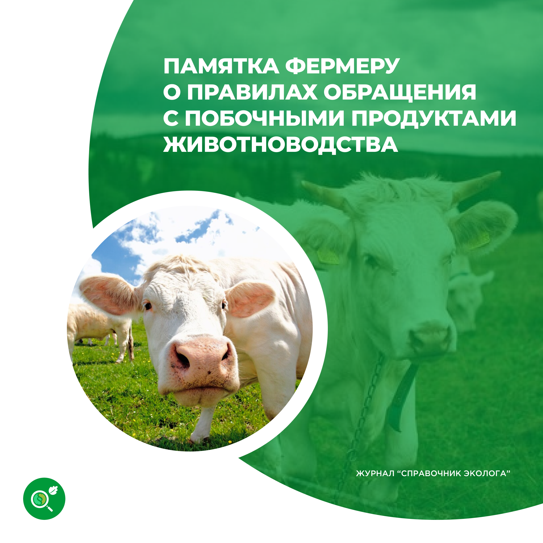 /upl/Group%2034%20(5)_5.png