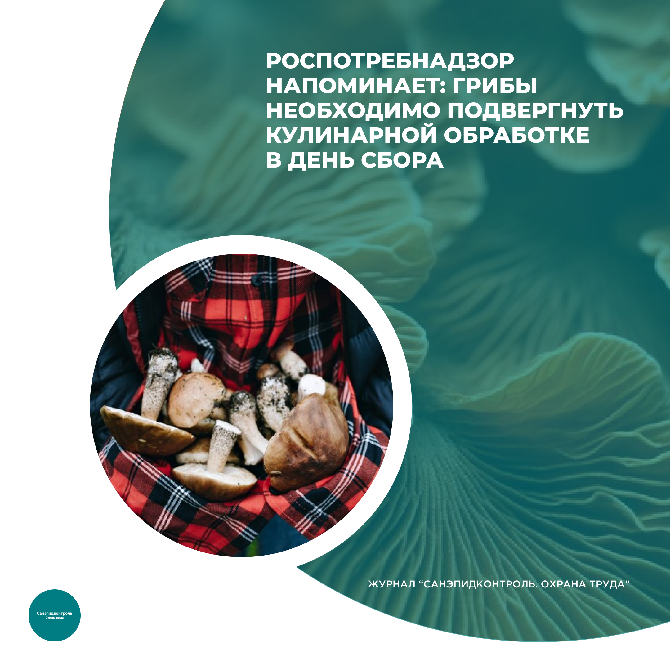 /upl/Group%2037%20(14)_7.png