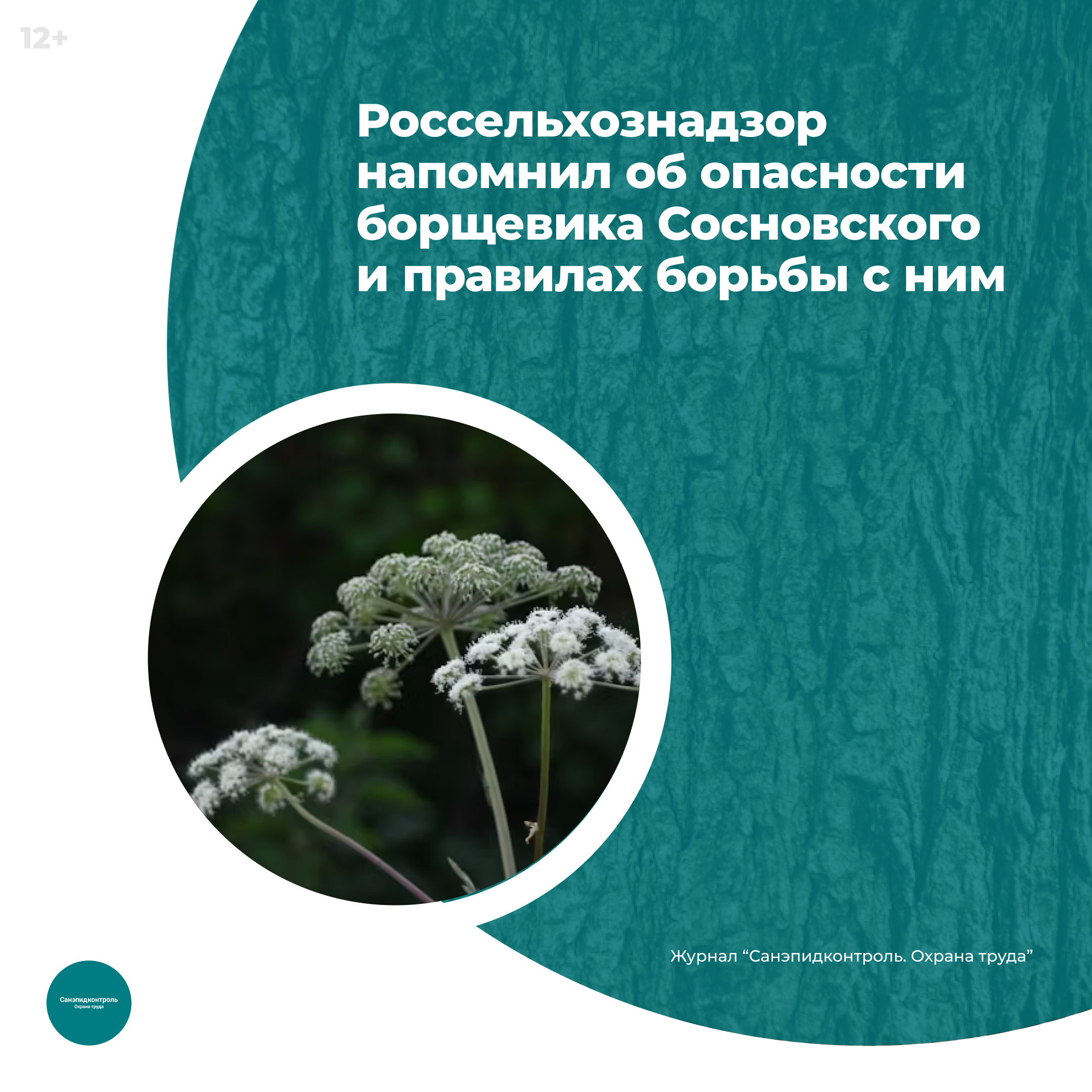 /upl/Group%2037_372.png