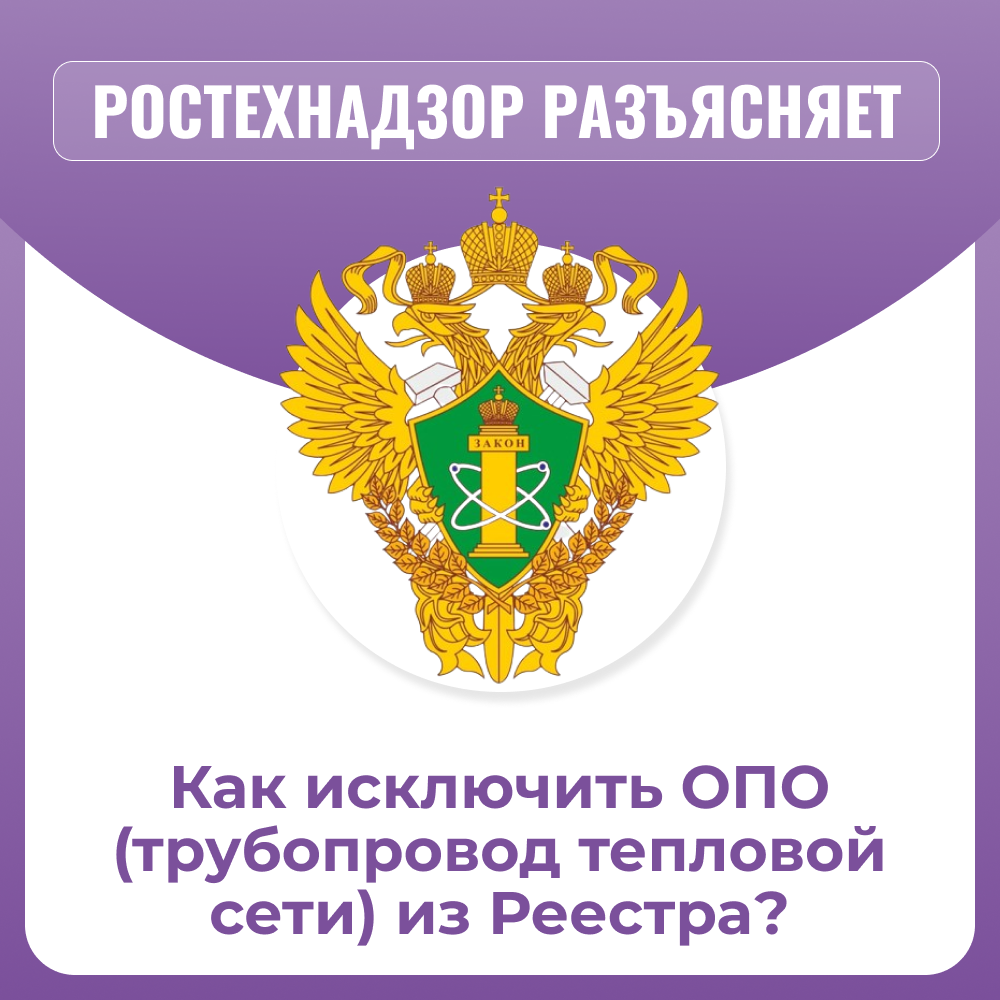 /upl/Group%20811%20(2)_2.png