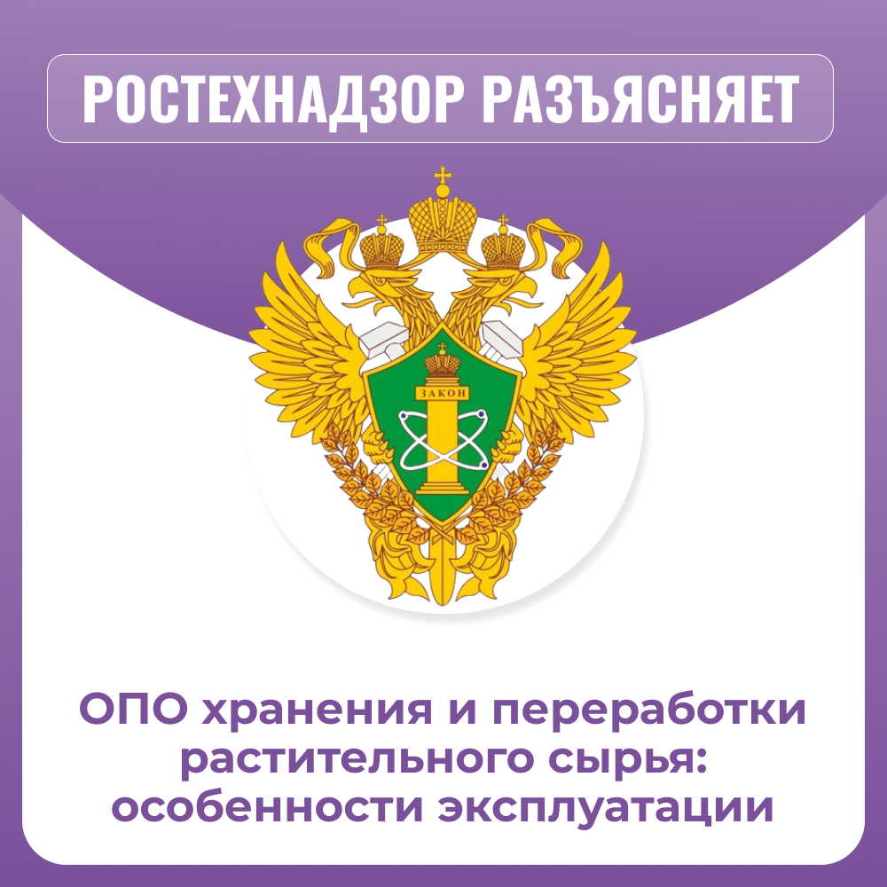 /upl/Group%20811%20(3)_2.png
