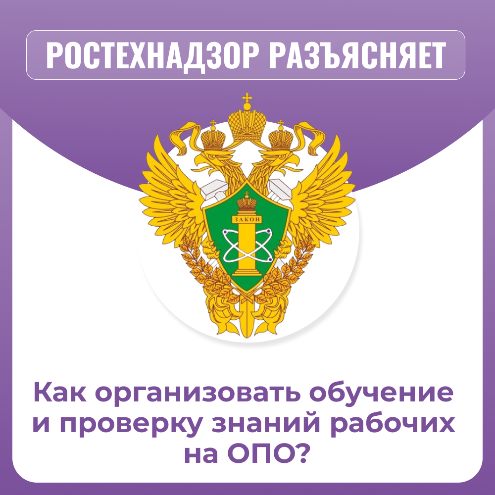/upl/Group%20811%20(4).png