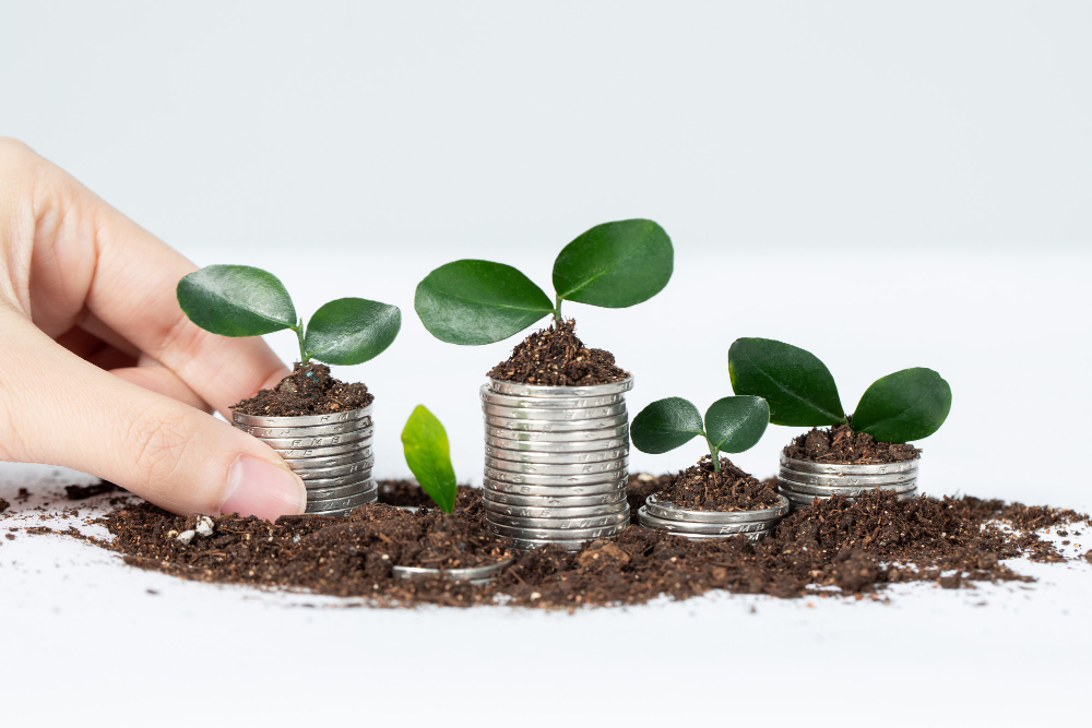 /upl/closeup-shot-of-tiny-plants-in-metal-containers-isolated-on-white-scene_1.jpg