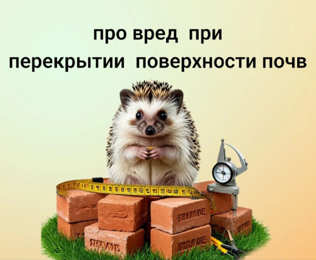 /upl/image%201921.png