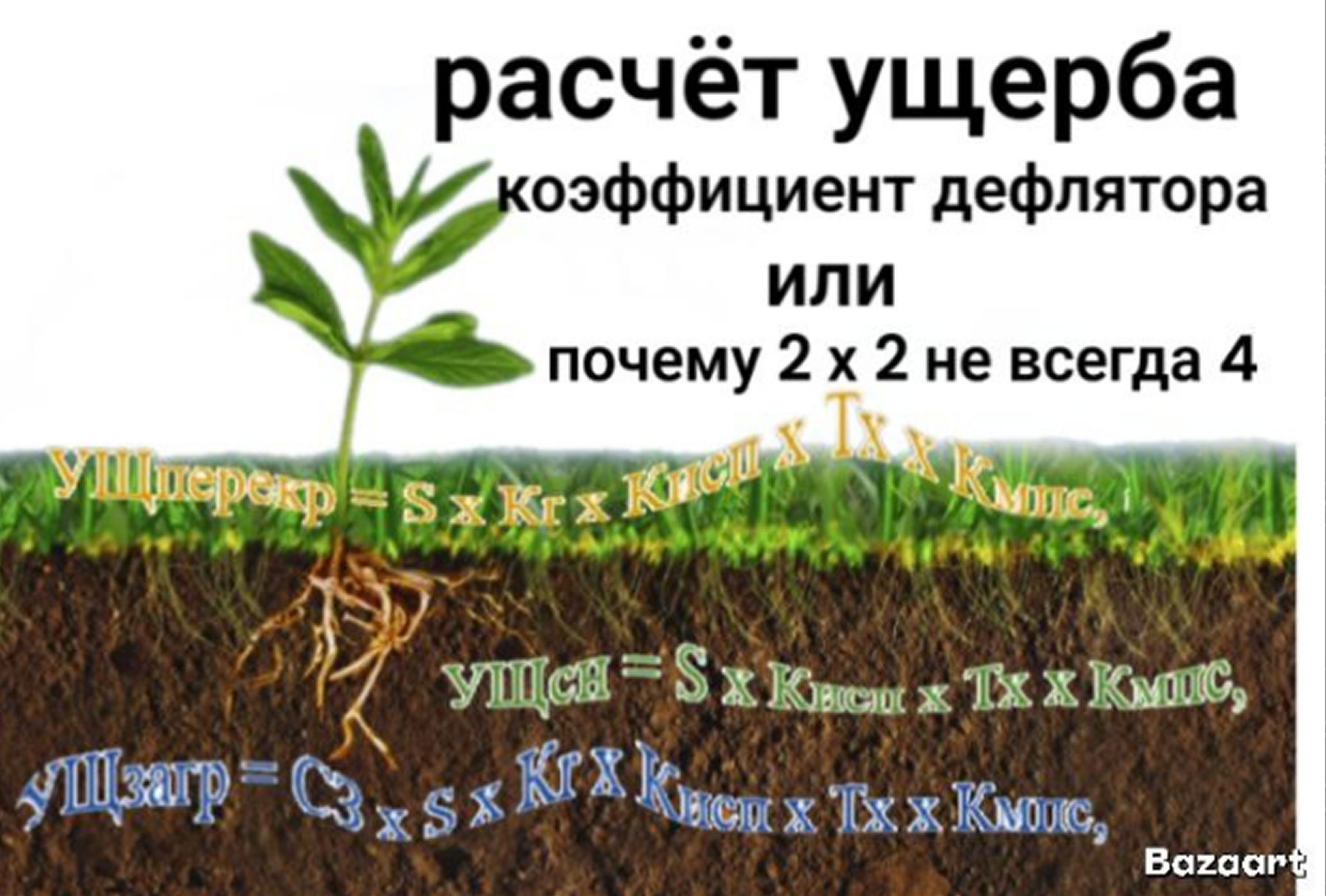 /upl/image%201953.png