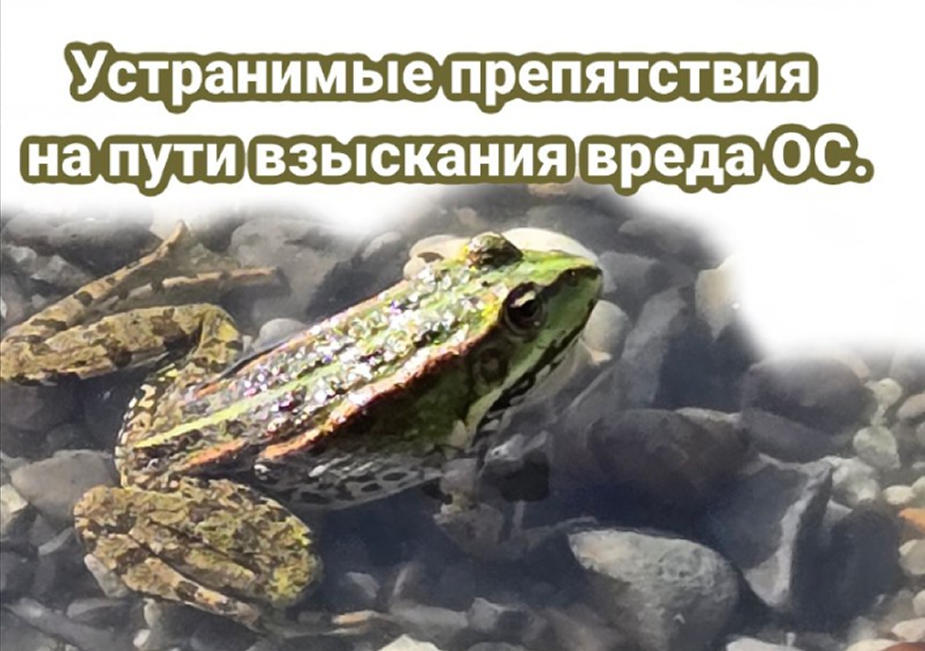 /upl/image%202007.png