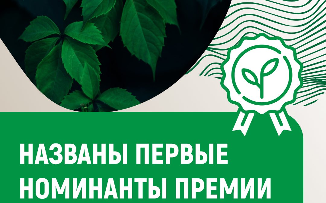 /upl/instagram-post-25-1080x675.jpg