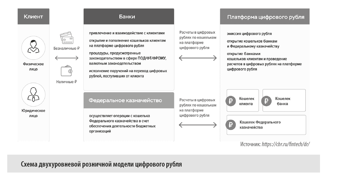 Как выглядит двухуровневая розничная модель цифрового рубля?