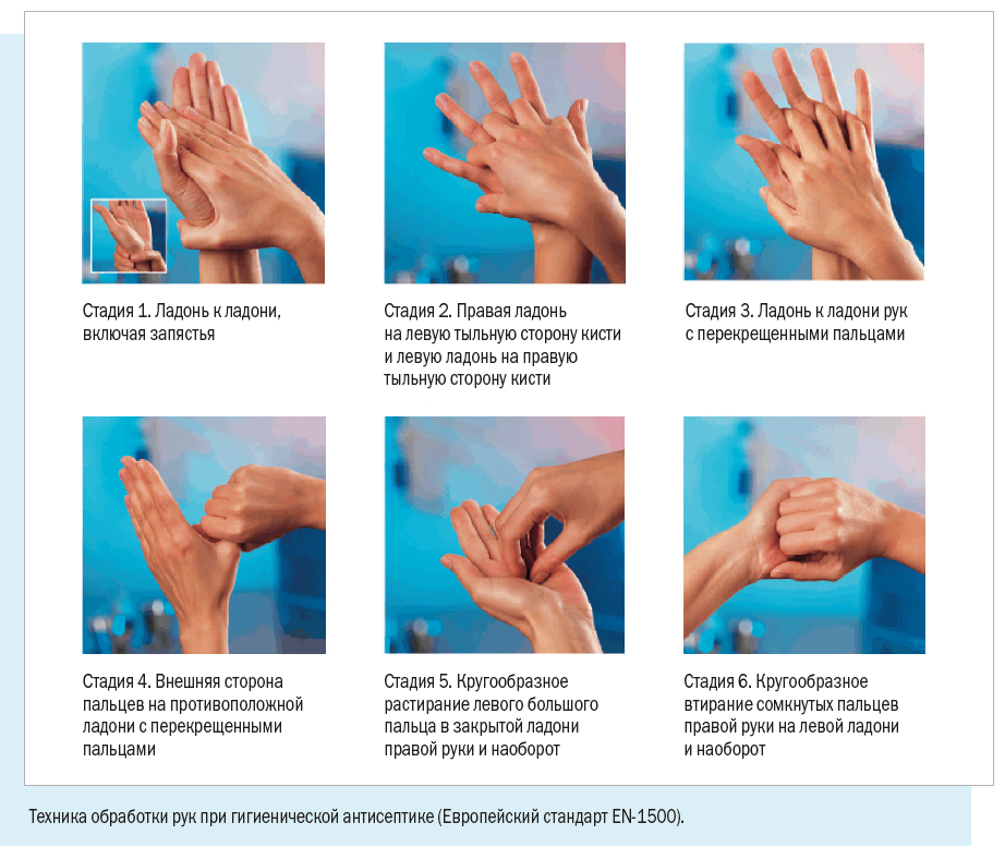 Этапы гигиенической обработки. Гигиеническая обработка рук антисептиком медперсонала. Гигиеническая обработка рук Европейский стандарт en 1500. Гигиеническая обработка рук мылом алгоритм. Схема дезинфекции рук антисептиком.