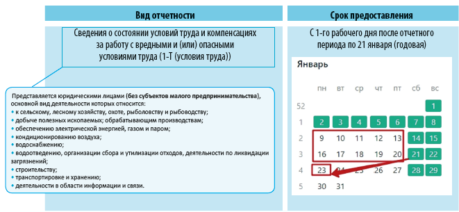 вид отчетности