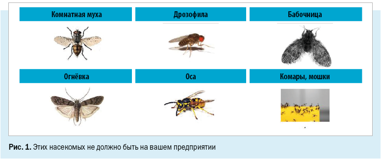 вредные насекомые