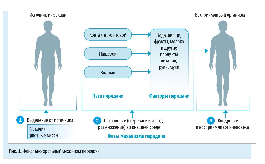 7 источников инфекции в ресторанах и кафе: как избегать пищевого отравления?