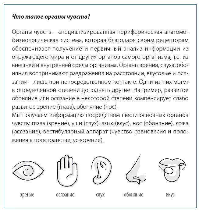 Роль органов чувств в коммуникации: наблюдай за собой и за другими