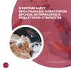 В России ждут иностранных операторов дронов, ветеринаров и редакторов-стилистов