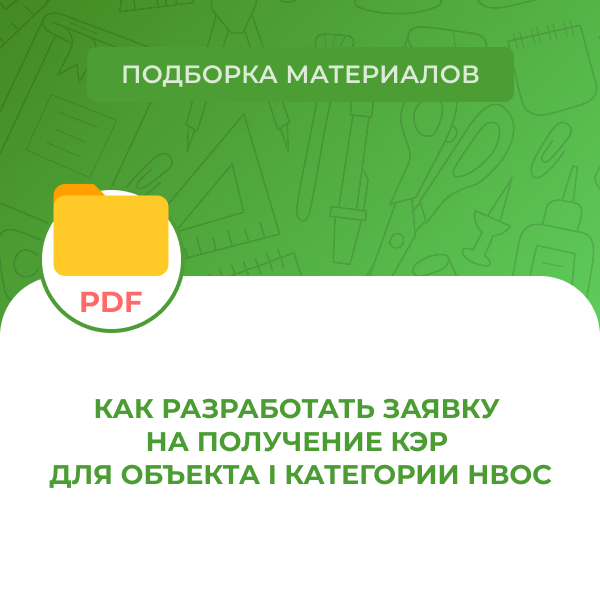 Как разработать заявку на получение КЭР для объекта I категории НВОС