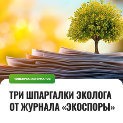 Три шпаргалки эколога от журнала «ЭкоСпоры»