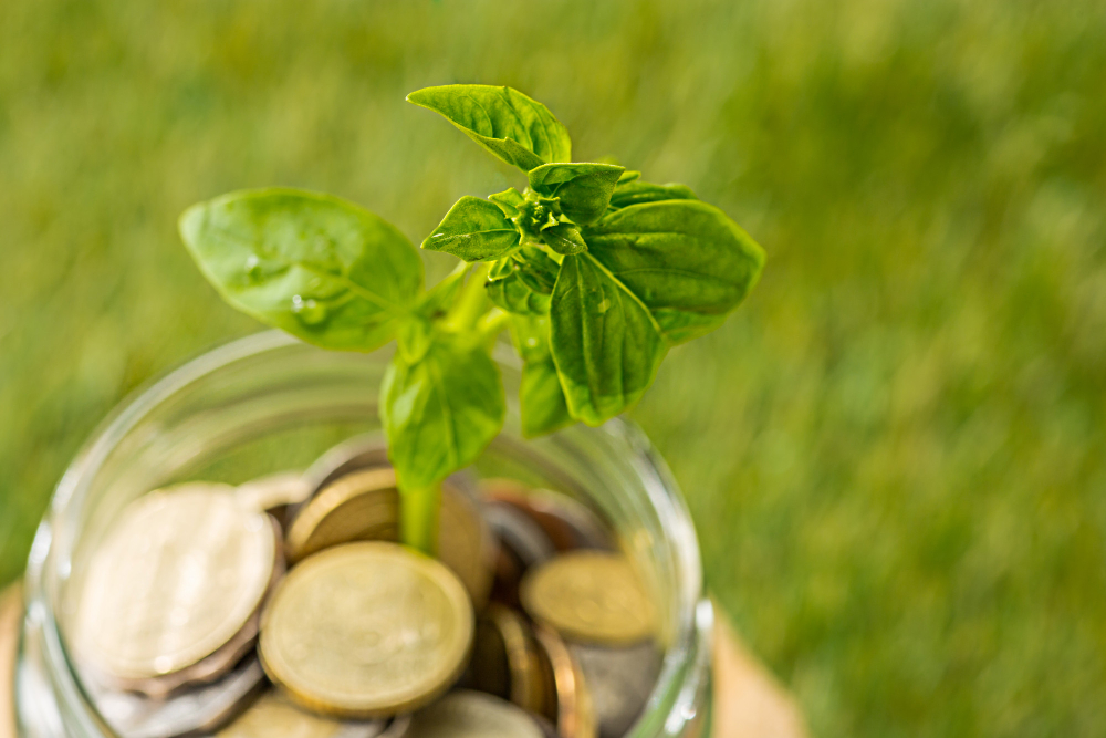 /upl/plant-growing-in-coins-glass-jar-for-money-on-green-grass.jpg