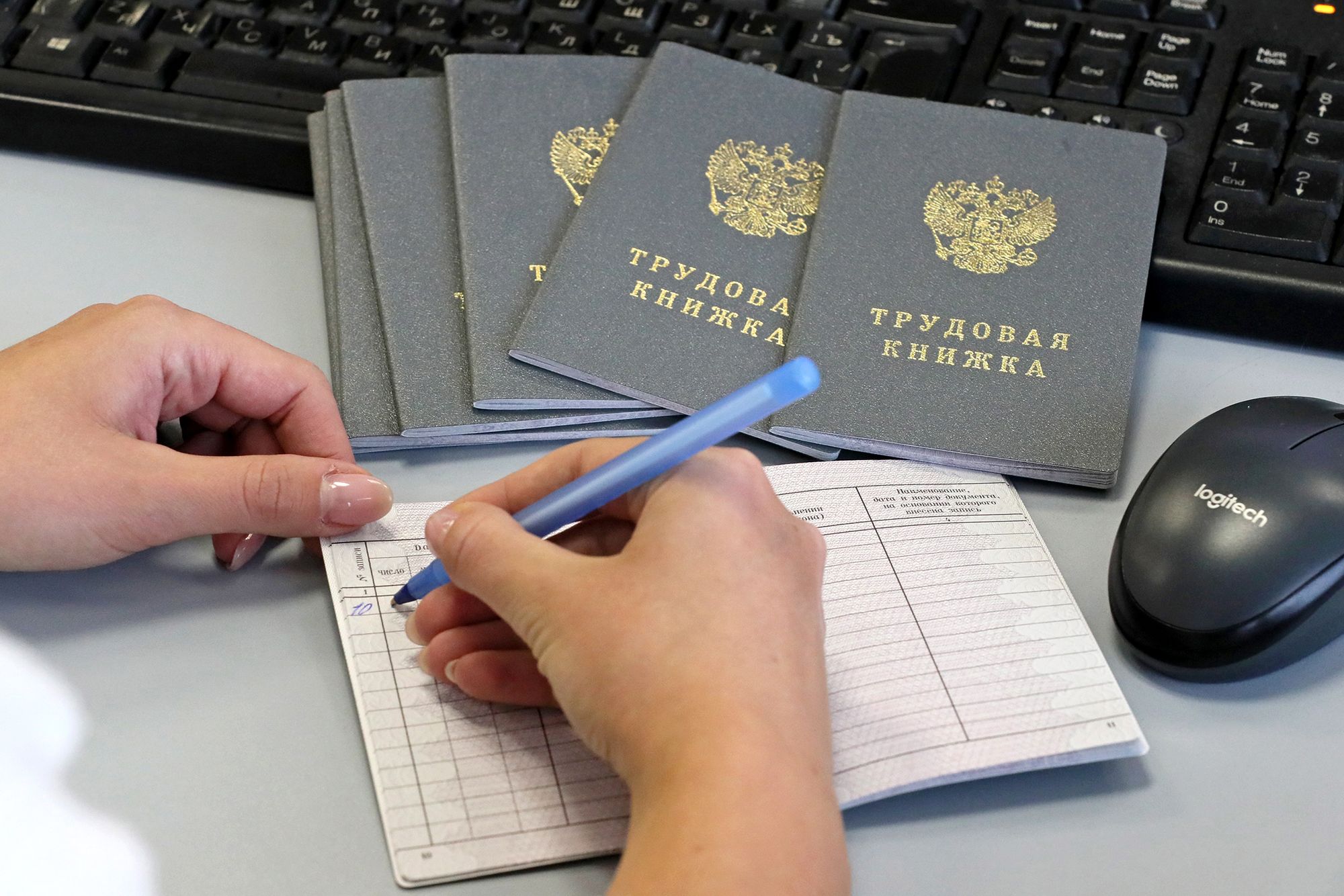 Трудовая книжка нового образца 2023 года