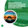 Природоохранная прокуратура разъясняет изменения в процедуру оформления договоров водопользования