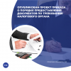 Опубликован проект приказа о порядке предоставления документов по требованию налогового органа