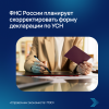 ФНС России планирует скорректировать форму декларации по УСН