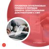 Проверки: опубликован приказ о порядке обмена электронными документами с СФР