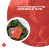 Мобилизационные поправки в ТК РФ