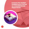 В КоАП РФ может появиться статья за оскорбление педагогов