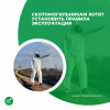 Скотомогильникам хотят установить правила эксплуатации