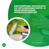 Минприроды рассказал об организации фото- и видеофиксации правонарушений