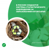 В России создается система статистического наблюдения за образованием вторсырья