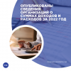 Опубликованы сведения организаций о суммах доходов и расходов за 2022 год
