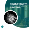 В России вступил в силу «полусухой» закон: купить алкоголь теперь будет сложнее