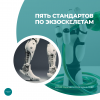 Пять стандартов по экзоскелетам