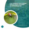 Суд признал укус клеща несчастным случаем на производстве
