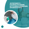 Энтеровирус: распространение, источники инфекции, профилактика