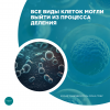 Все виды клеток могли выйти из процесса деления