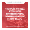 С 1 апреля 2024 года предлагается проиндексировать размеры социальных пенсий на 7,5 %