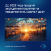 До 2028 года продлят экспортные пошлины на подсолнечник, масло и шрот