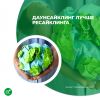 Даунсайклинг лучше ресайклинга