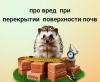 Вместе с Эко-лоцманом рассматриваем перекрытие почвы