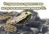 Устранимые препятствия на пути взыскания вреда ОС. Или немного о соотношении 248-ФЗ и Методик расчета вреда
