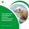Пользователей недр обязали охранять растительный и животный мир